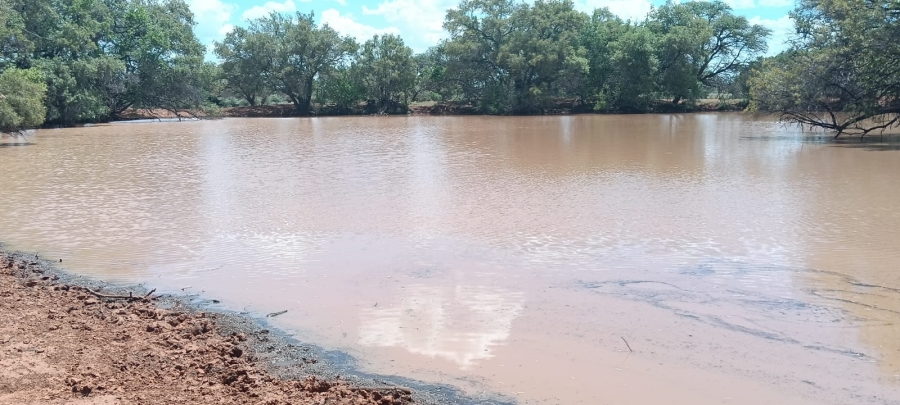 10 Bedroom Property for Sale in Boshof Free State